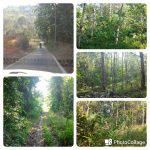 FOR SALE – LAND AT BT.25 HULU LANGAT SELANGOR