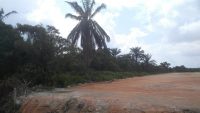 Kuala Langat, Telok Panglima Garang, Industrial Zioning