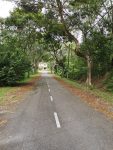 Seremban 2 Land for Sale