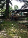 FOR SALE Blackwater Estate, Klang / Air Hitam, Klang (Farm)