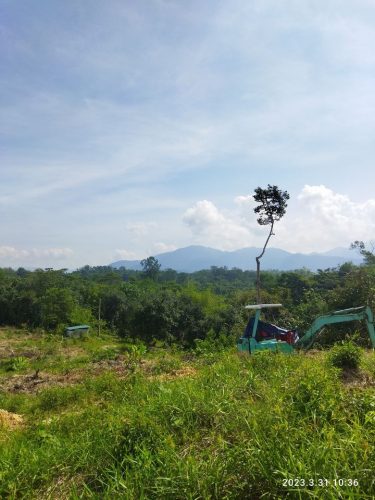 Tanah Pertanian Kg Kuantan Batang Kali Permandangan Cantik Malaysia