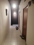 Avenue Crest, Single Room, Shah Alam, Grenmarie, MSU, Seksyen 22, Uitm, Aeon, Subang, Sunway, Hospital, Bus, Lrt, Convenience, Urgent